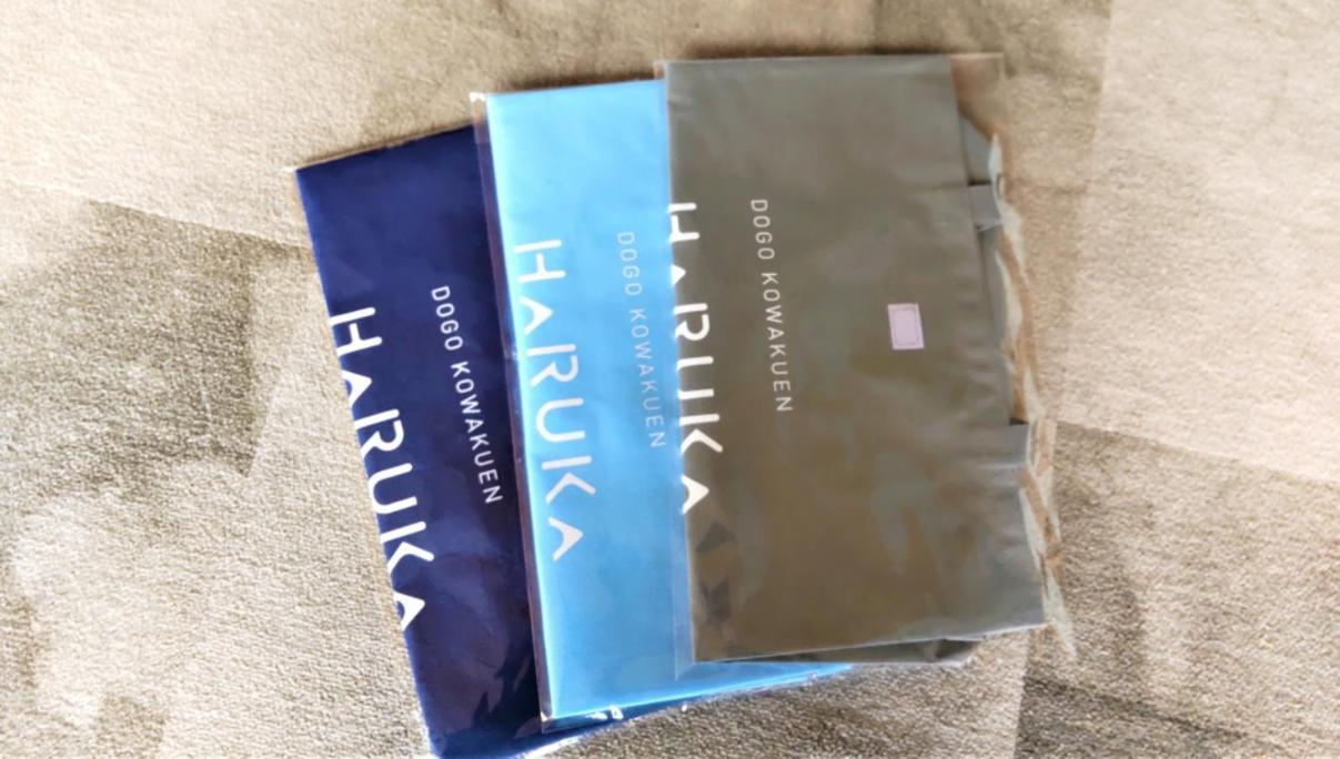 Hotel Kowakuen Haruka à Matsuyama  Extérieur photo